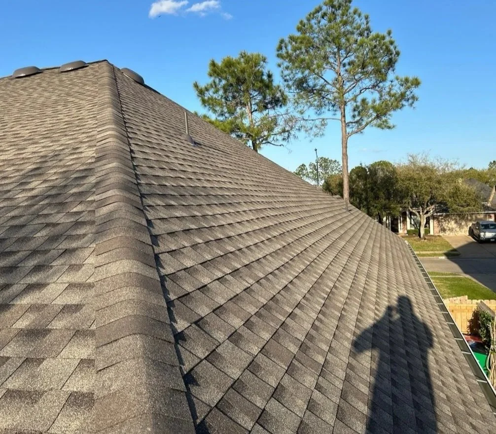 View of a house roof with gray shingles, trees and a clear blue sky in the background, and two people's shadows cast on the roof.