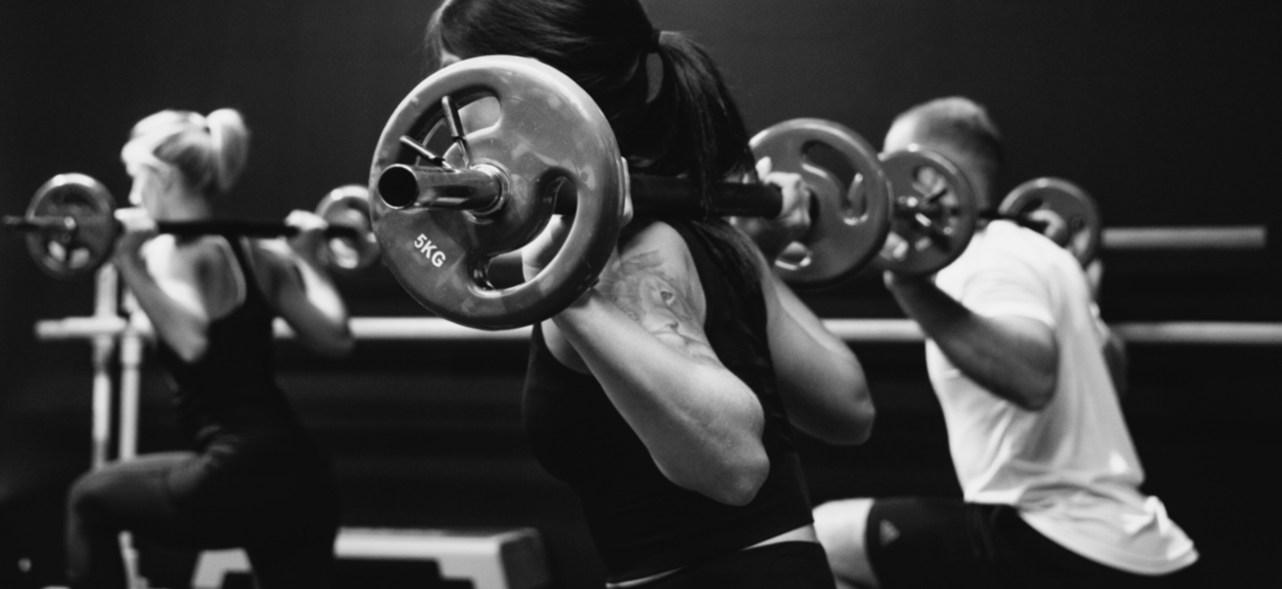 Home-Page-Group-Weights.png