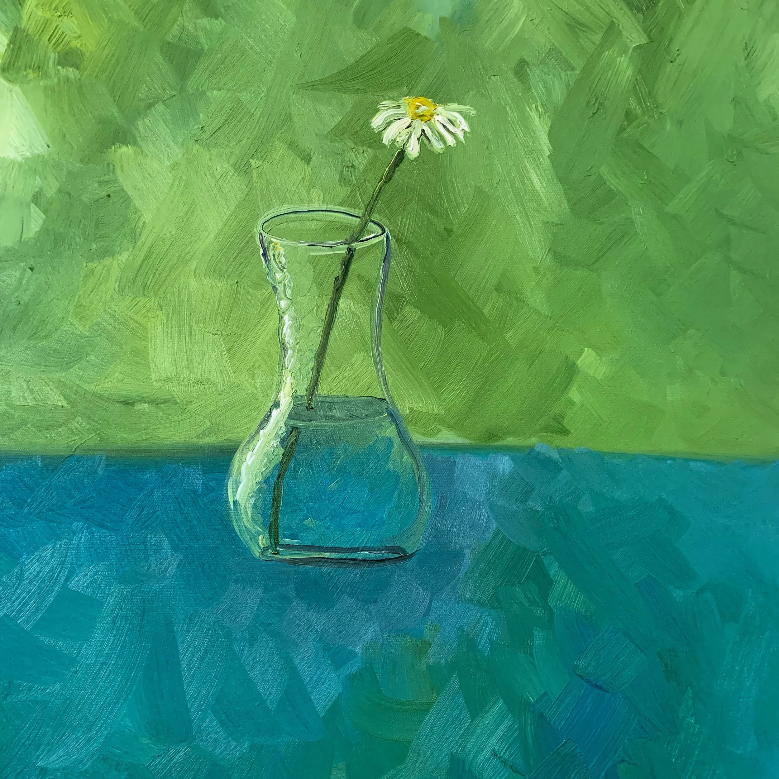 Daisy in a vase