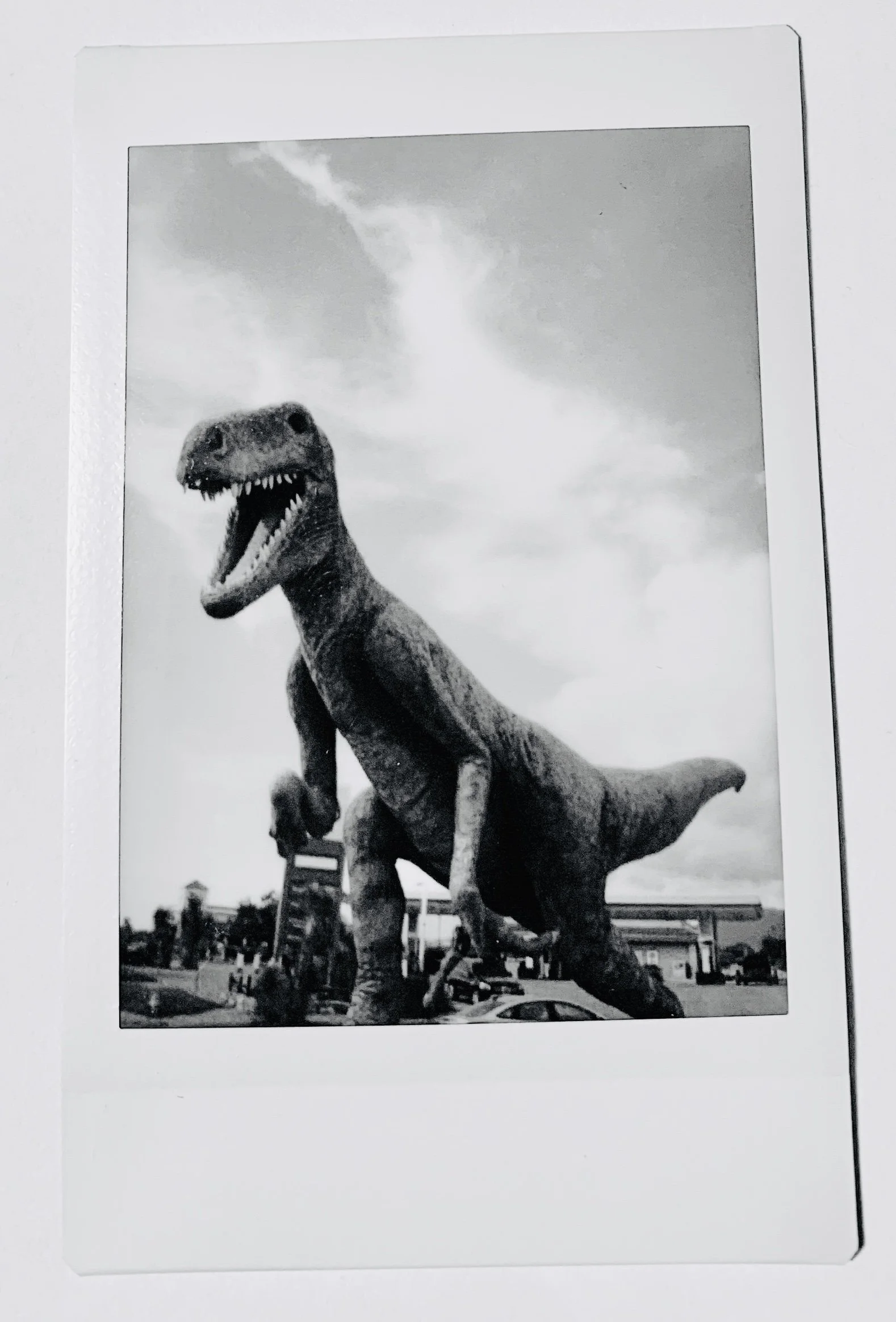 Polaroid of a dinosaur