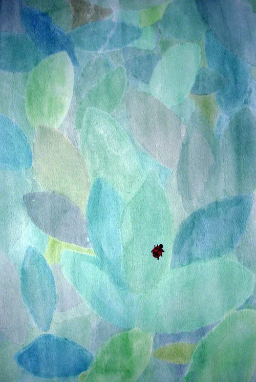 ladybug.jpg