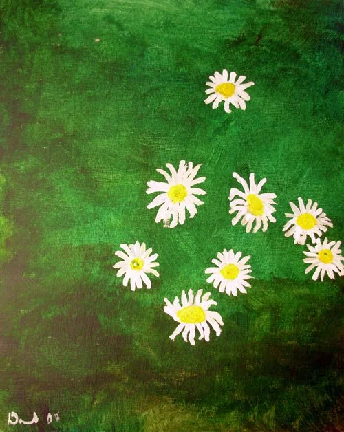 Daisys on a green background