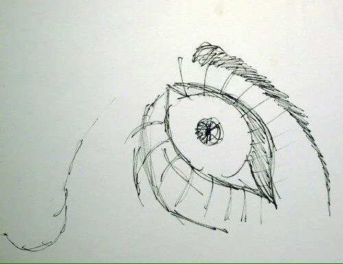 Eye