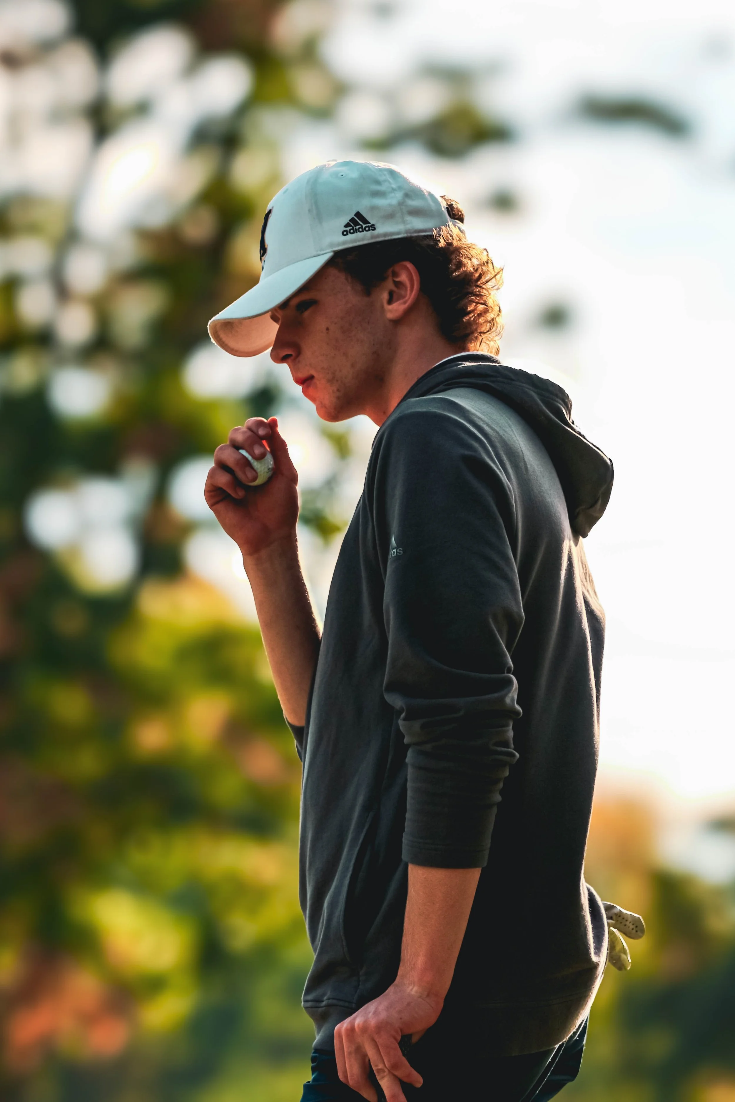 Website Covers-1.jpg