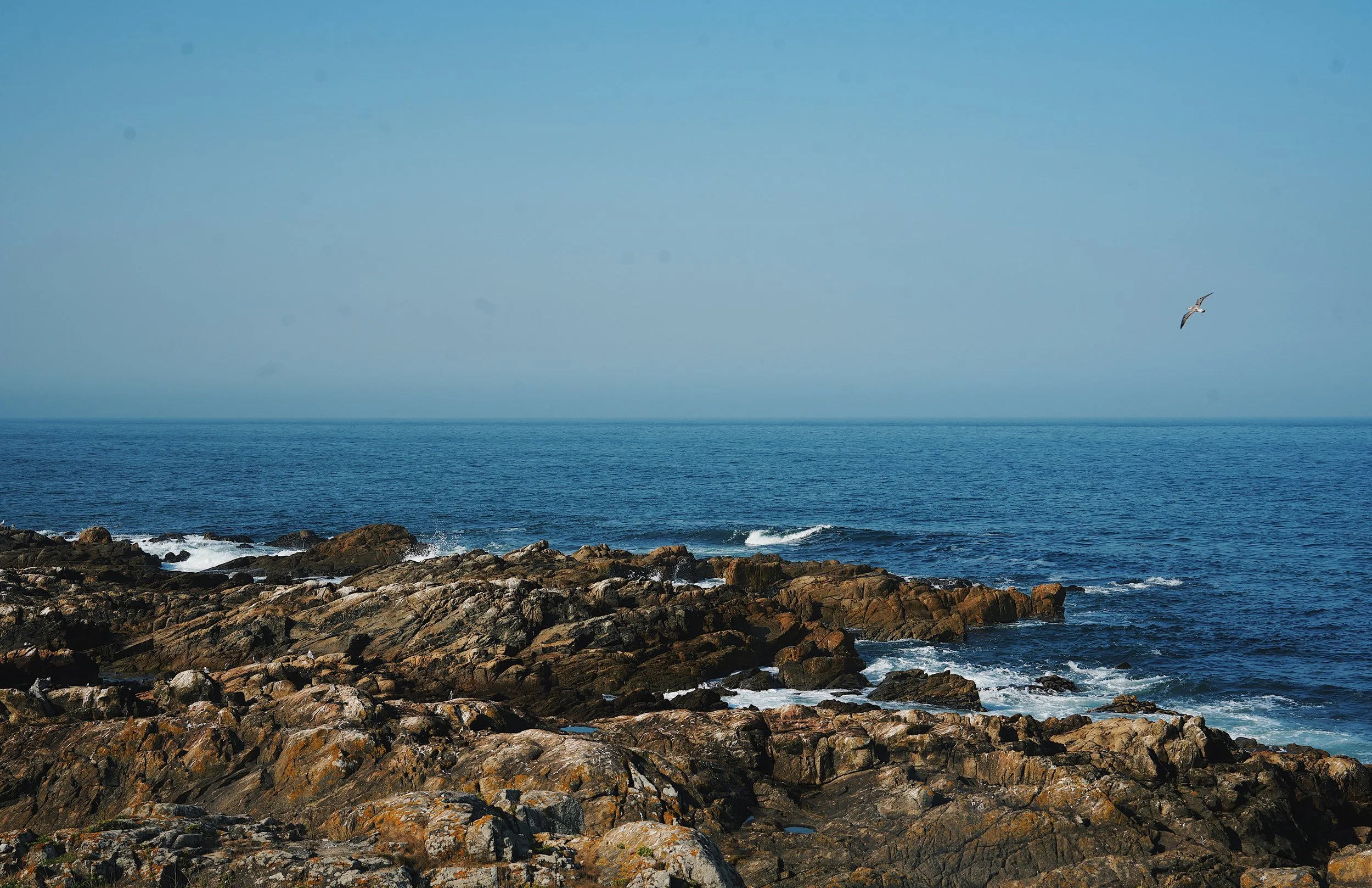 the view from the camino de santiago portugeus coastal route near porto