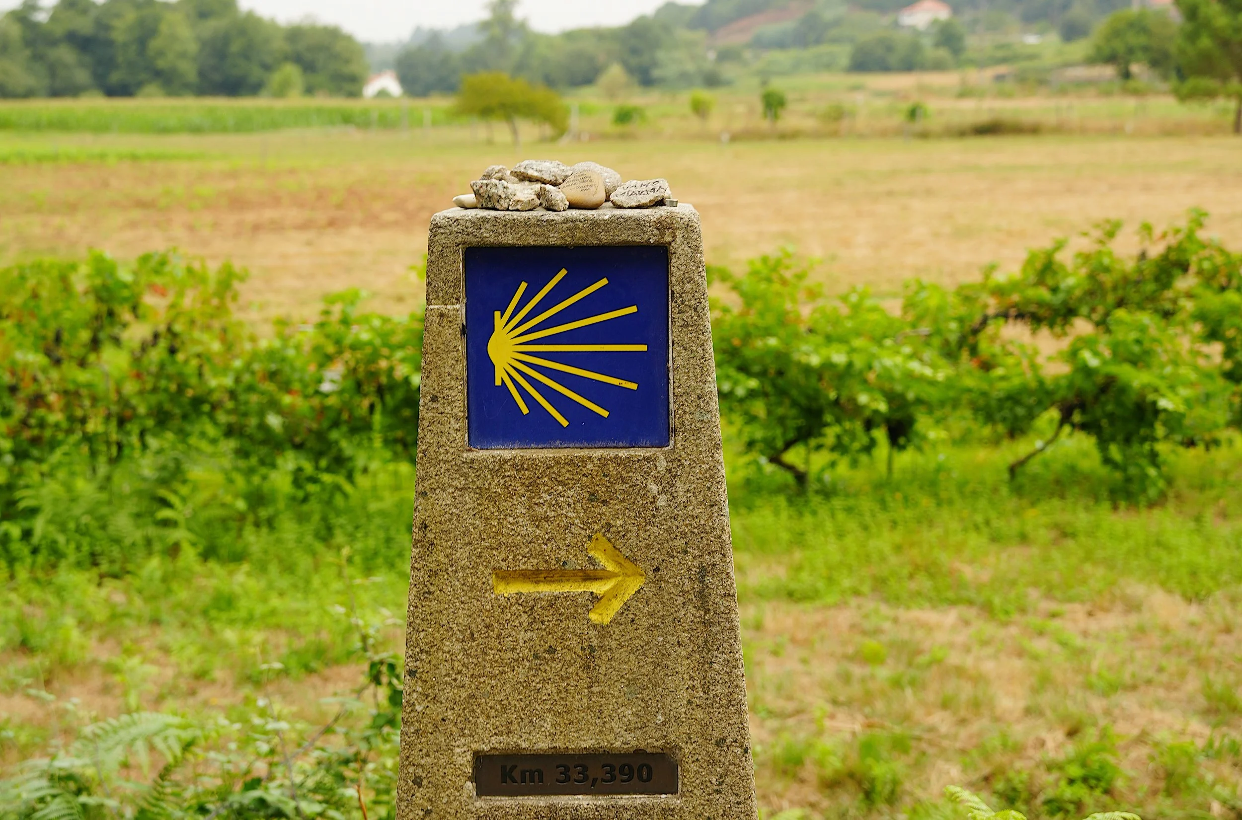 a sign on the camino de santiago