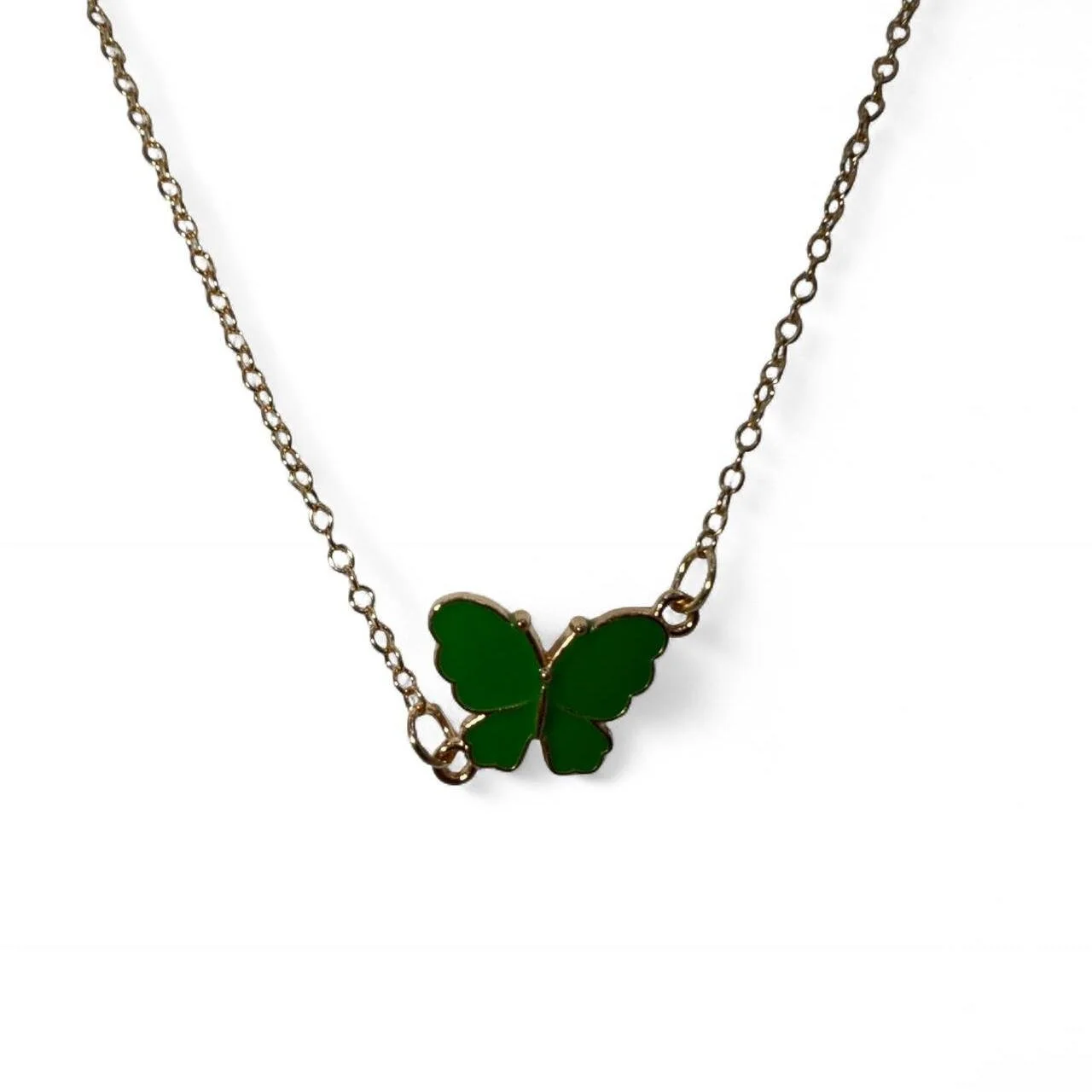 Green butterfly closeup.jpg