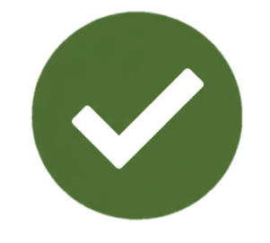 Icono de verificación