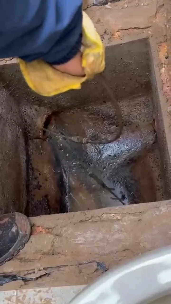 Persona usando guantes, sondeando en una caja septica