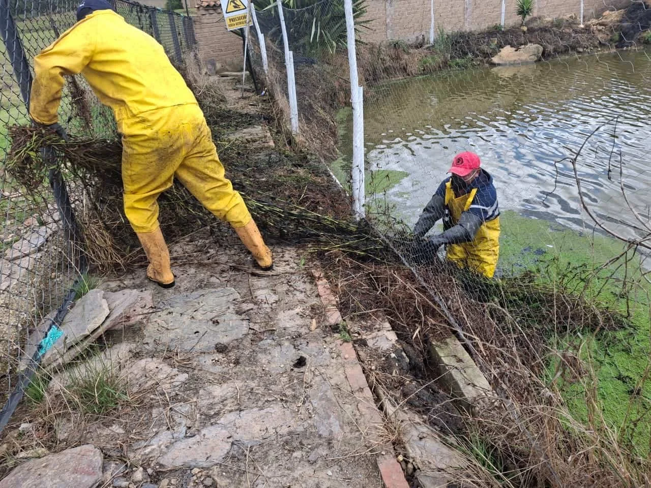 Dos personas trabajando en limpiar el área junto a un cuerpo de agua, usando guantes y ropa impermeable amarilla, en un entorno con cercas y vegetación, con signos de precaución.