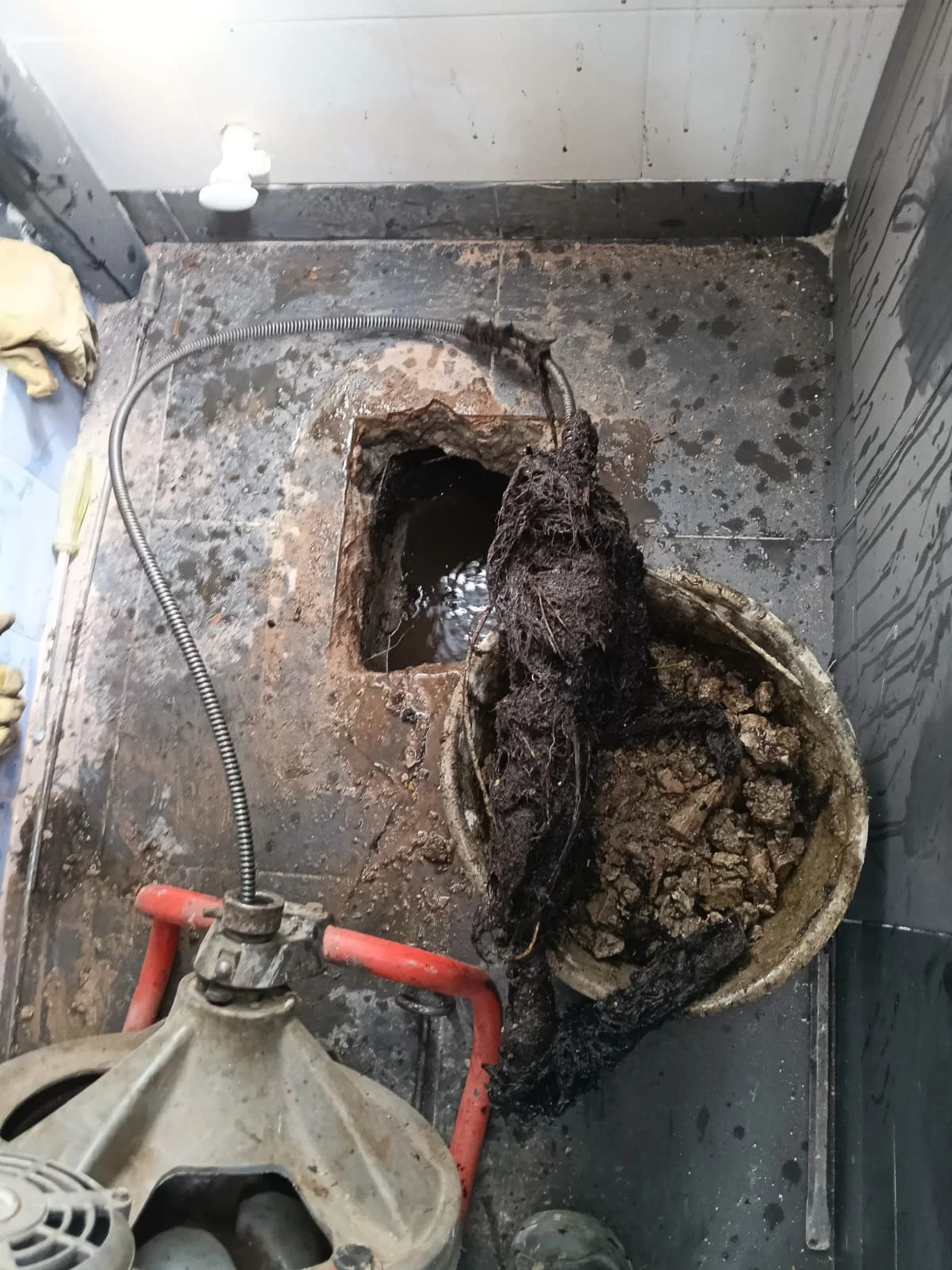 raices que se enrredaron en una sonda