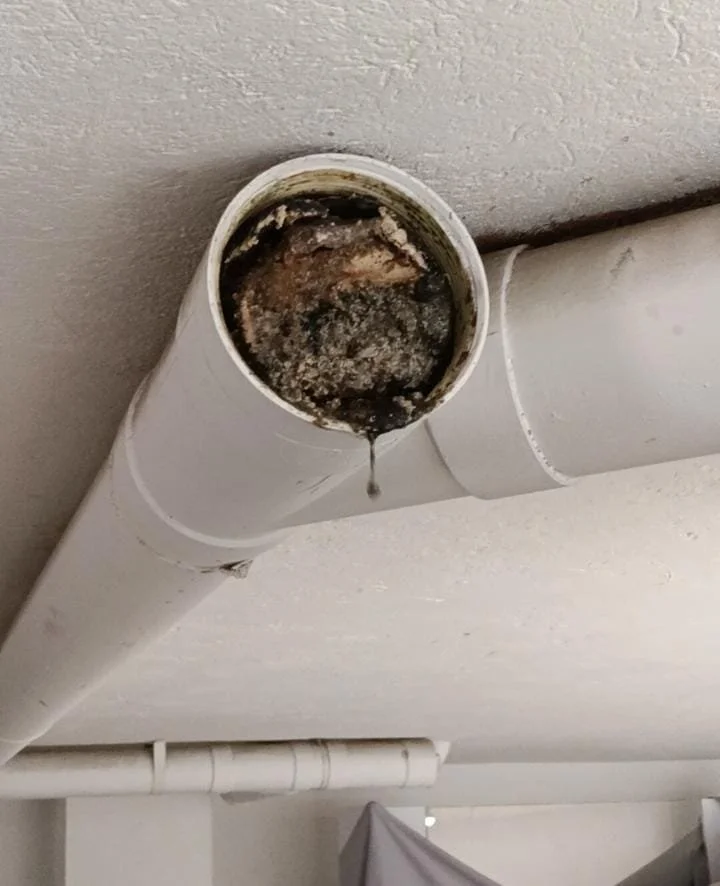 Tubería de drenaje con acumulación de suciedad y agua estancada, causando posible obstrucción o mal olor.