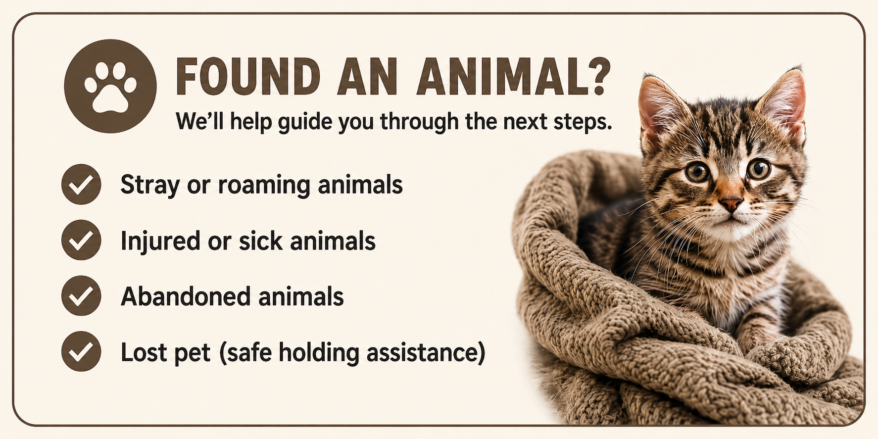 A found pet guide with a picture of a tabby kitten in a brown textured basket, and text listing steps for dealing with stray, injured, abandoned, or lost animals.