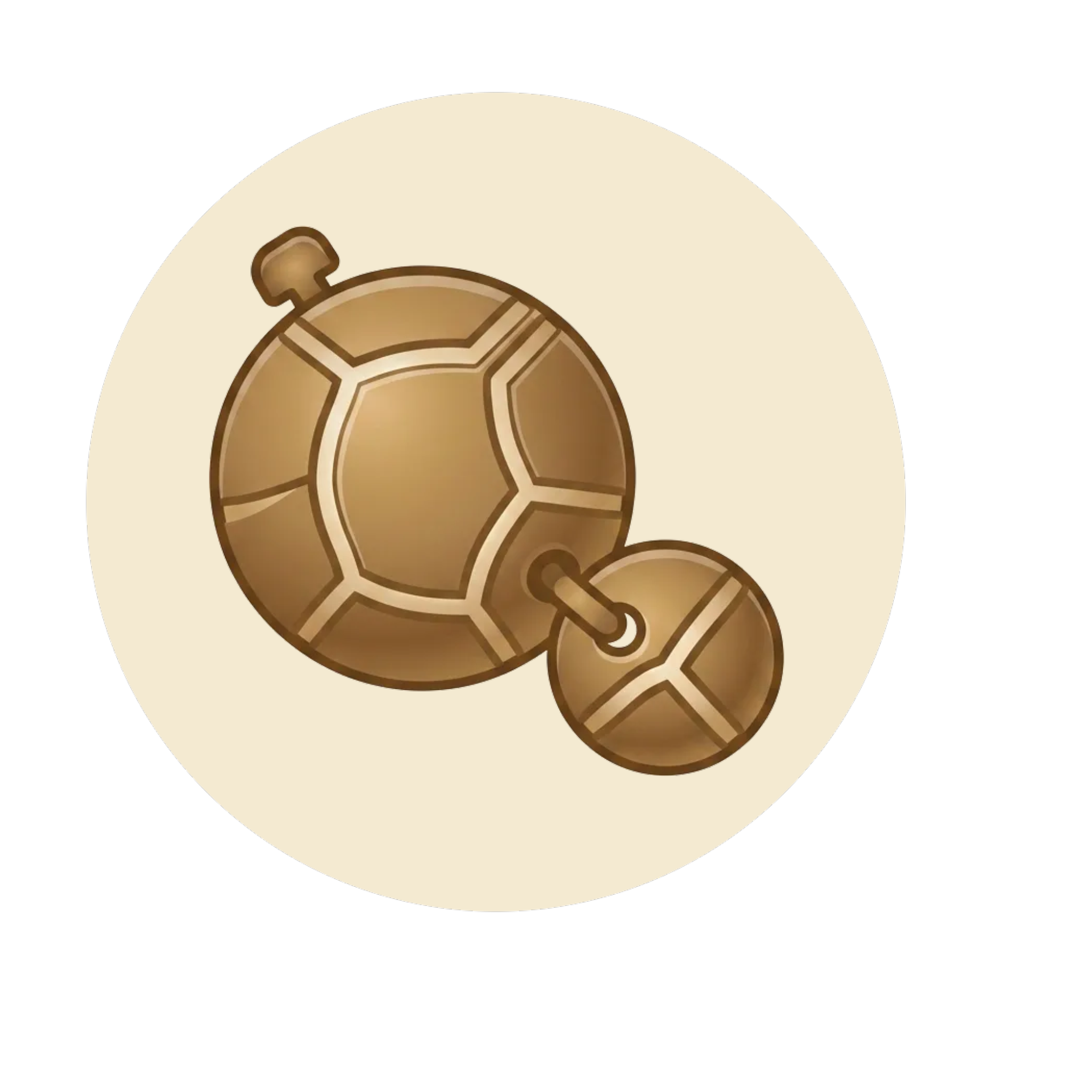 A coin with a turtle design on it.