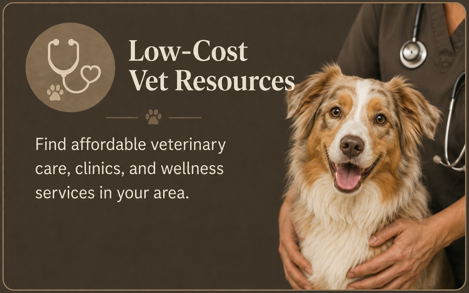 A veterinary professional holding a happy Australian Shepherd dog, with text promoting low-cost vet resources and services.