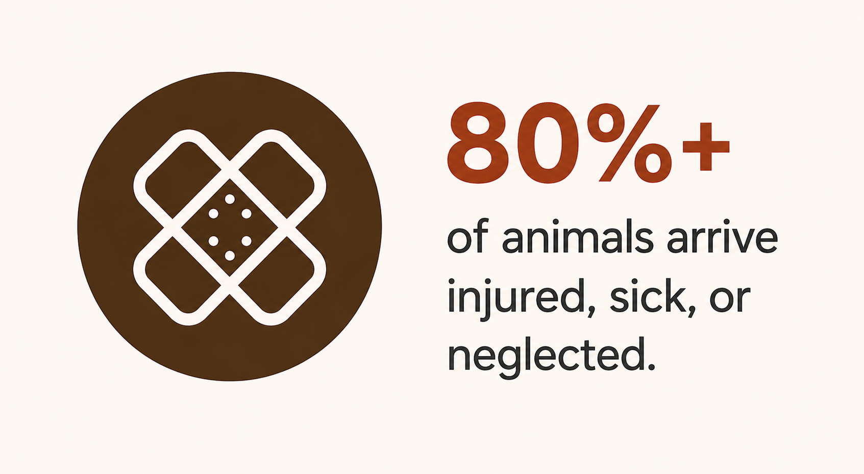 Graphic showing that over 80% of animals arrive injured, sick, or neglected, with a bandage icon and text.