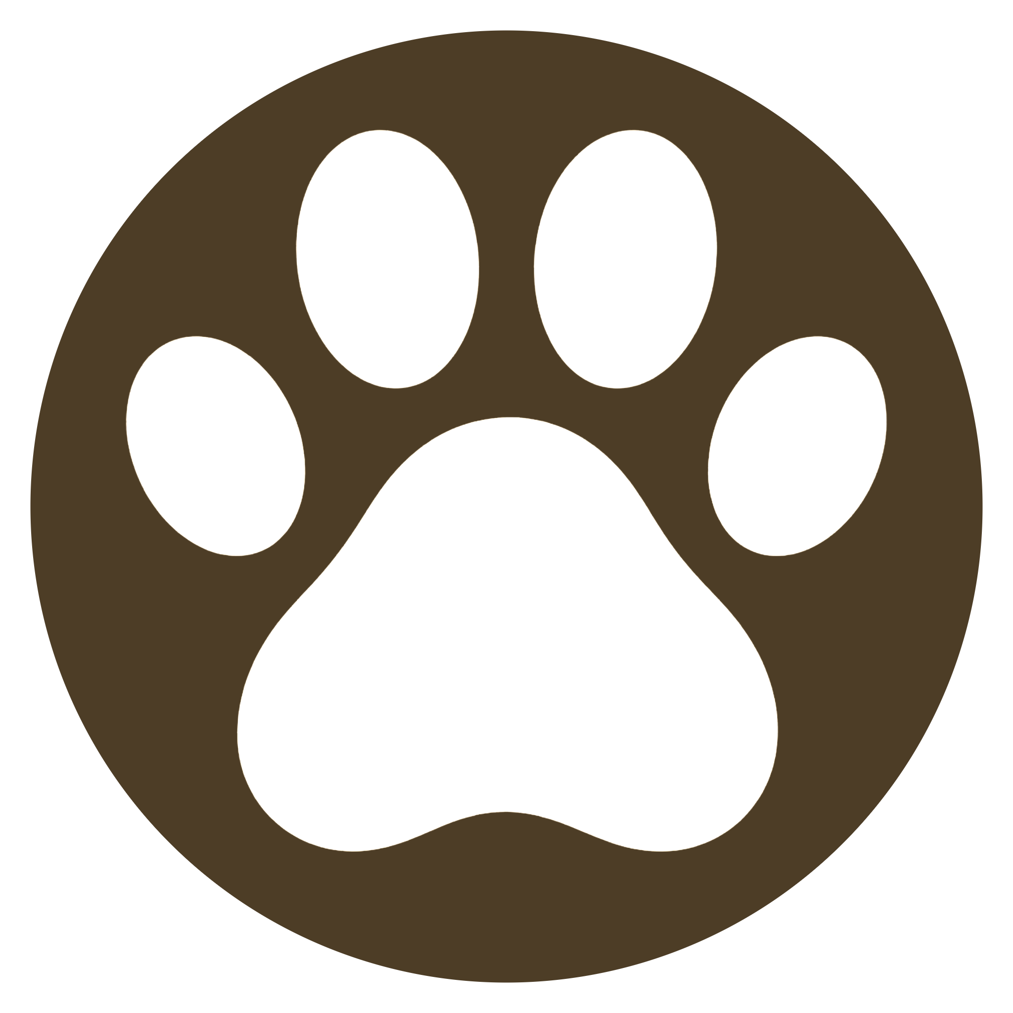 Close-up of a bear paw with white claws and brown fur.