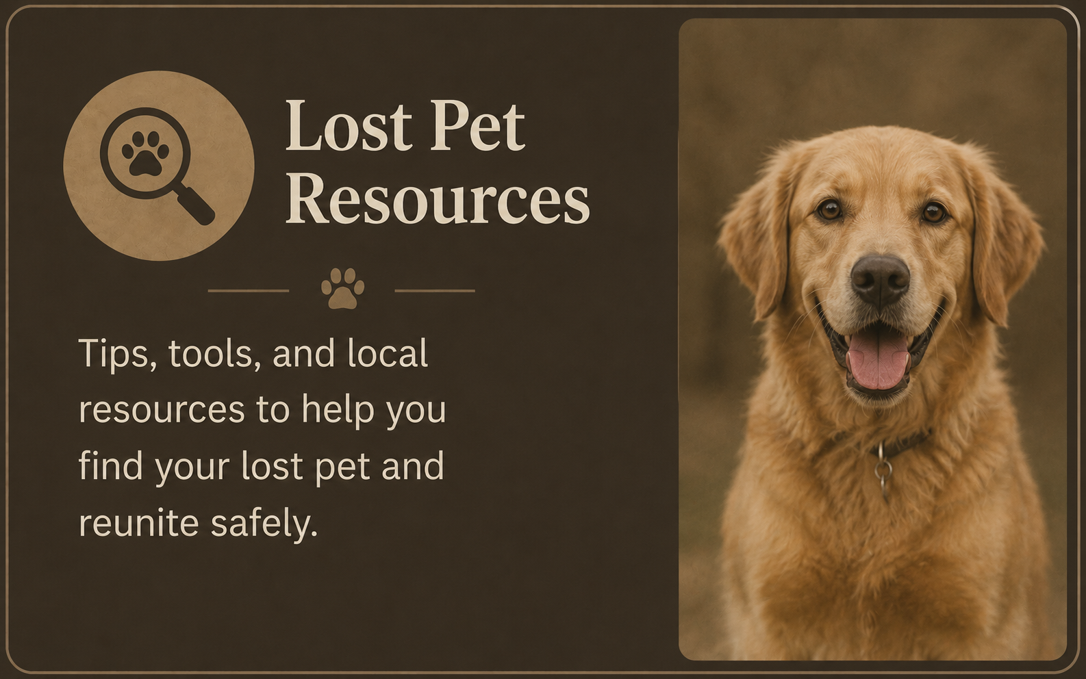 A flyer for lost pet resources with a picture of a happy golden retriever dog and a magnifying glass icon with a paw print.