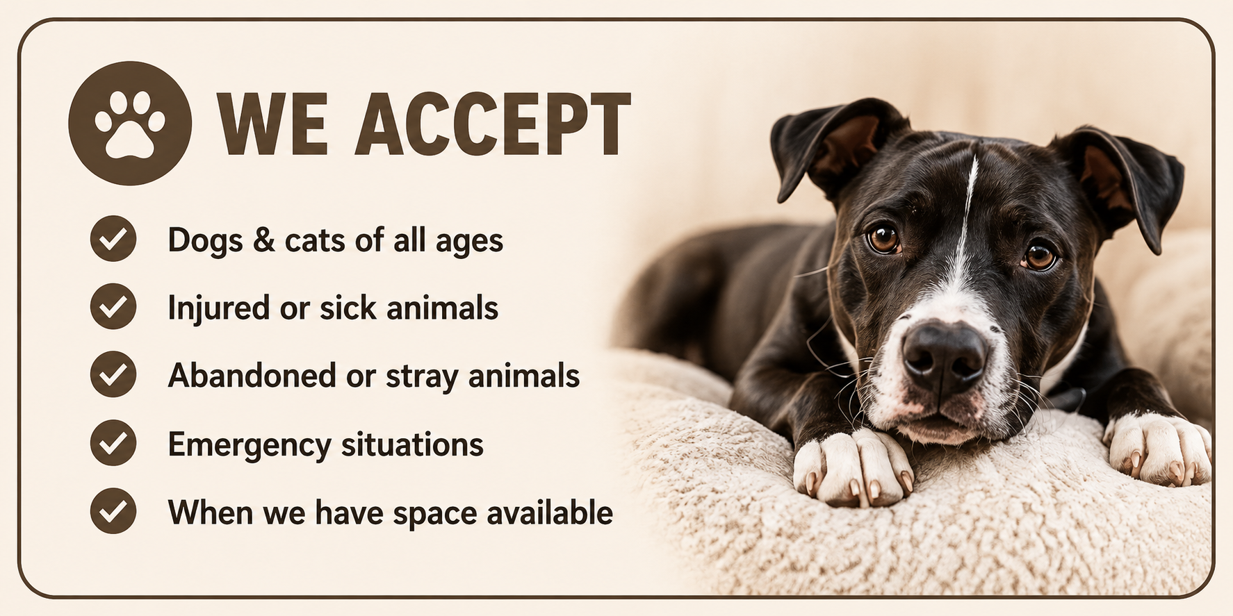 Sign indicating acceptance of dogs and cats of all ages, injured or sick animals, abandoned or stray animals, emergency situations, and when space is available, with a picture of a black and white dog lying on a plush beige bed.