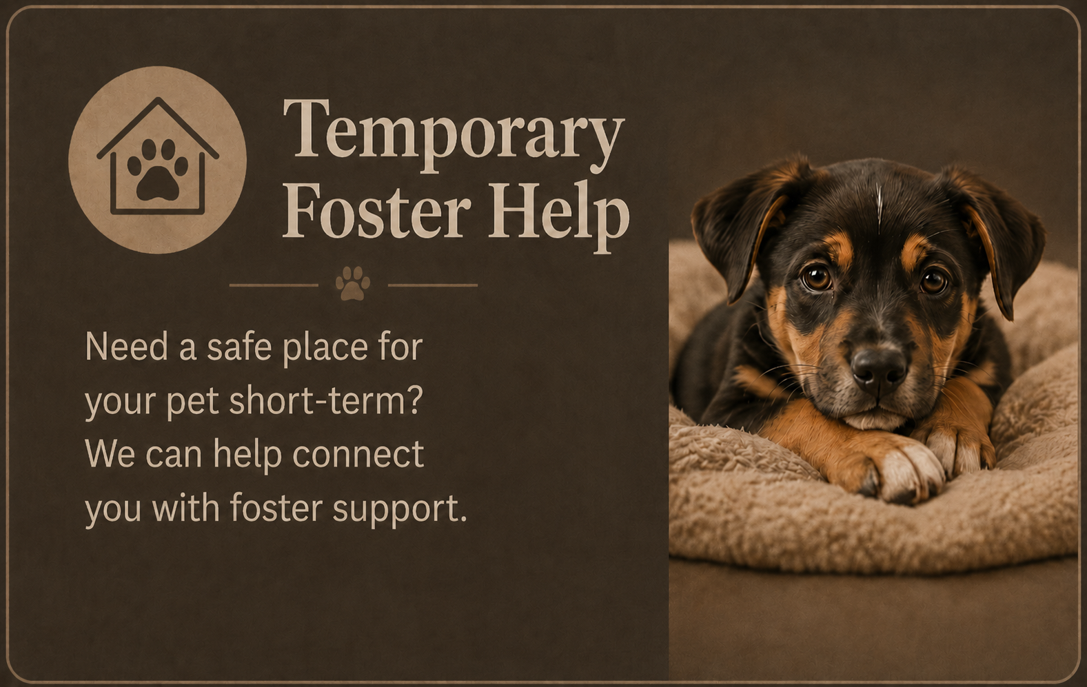 Flyer for temporary foster help for pets featuring a photo of a black and brown puppy resting on a soft blanket.