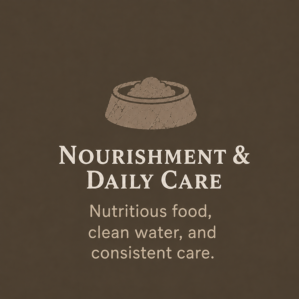 A logo featuring a bowl with food and the words 'Nourishment & Daily Care' with a description about providing nutritious food, clean water, and consistent care.