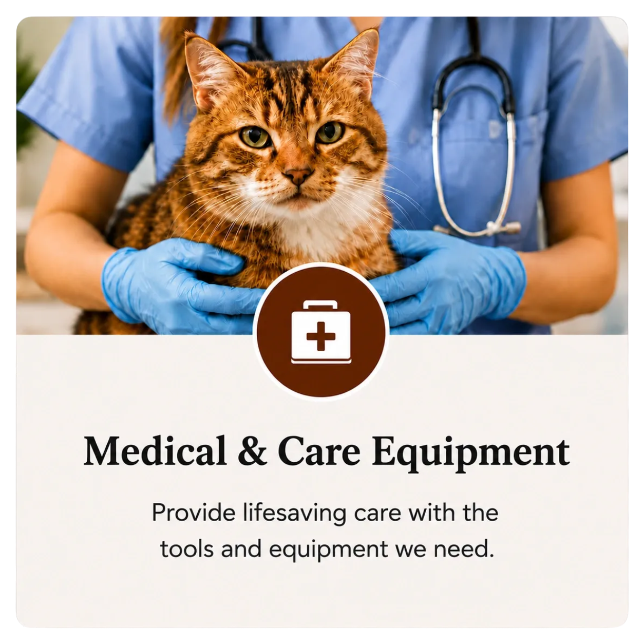 A veterinarian in blue scrubs with a stethoscope around her neck holding a Bengal cat with orange and black fur, wearing blue gloves. Text overlay states 'Medical & Care Equipment' and 'Provide lifesaving care with the tools and equipment we need.'