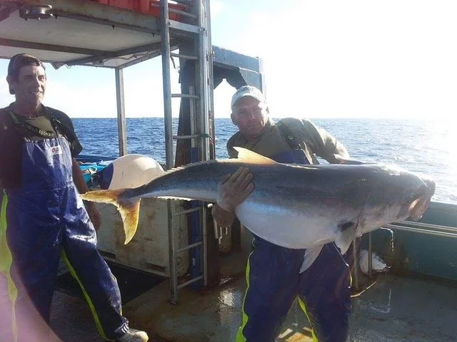 Discover Legendary Fishing at Ranfurly Banks, New Zealand