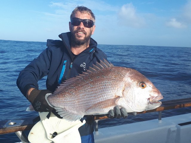 Epic Snapper &amp; Hard-Charging Kingfish Charters in Tauranga