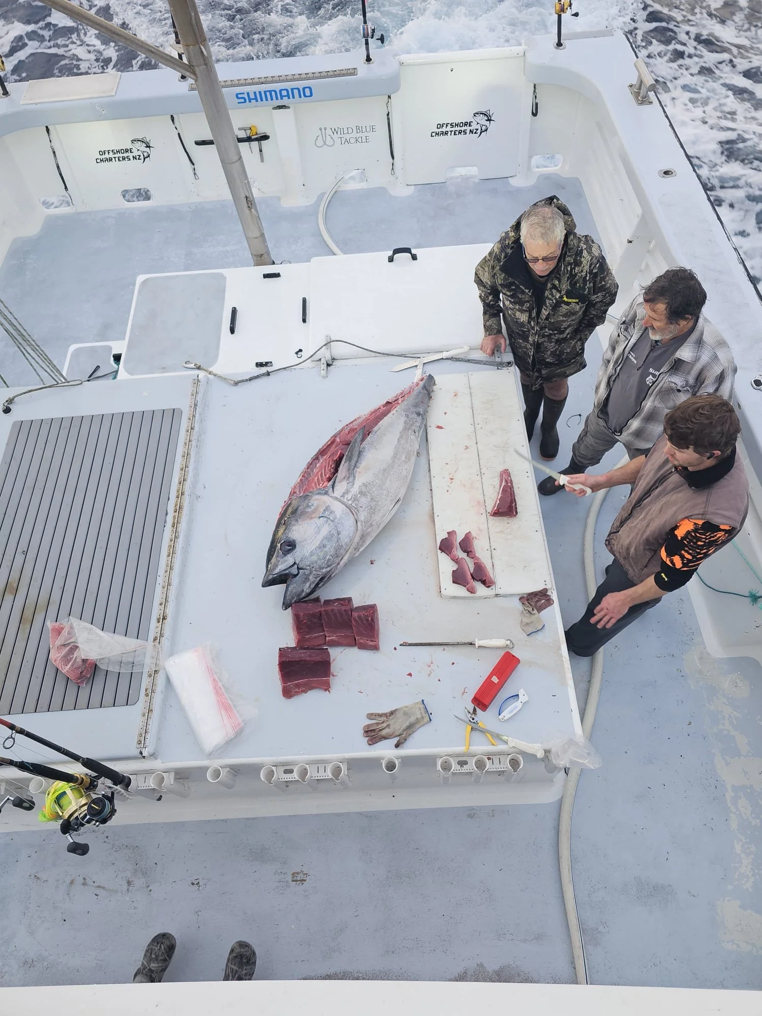 offshore-fishing-charters-tauranga-gallery-2026 (16).jpg