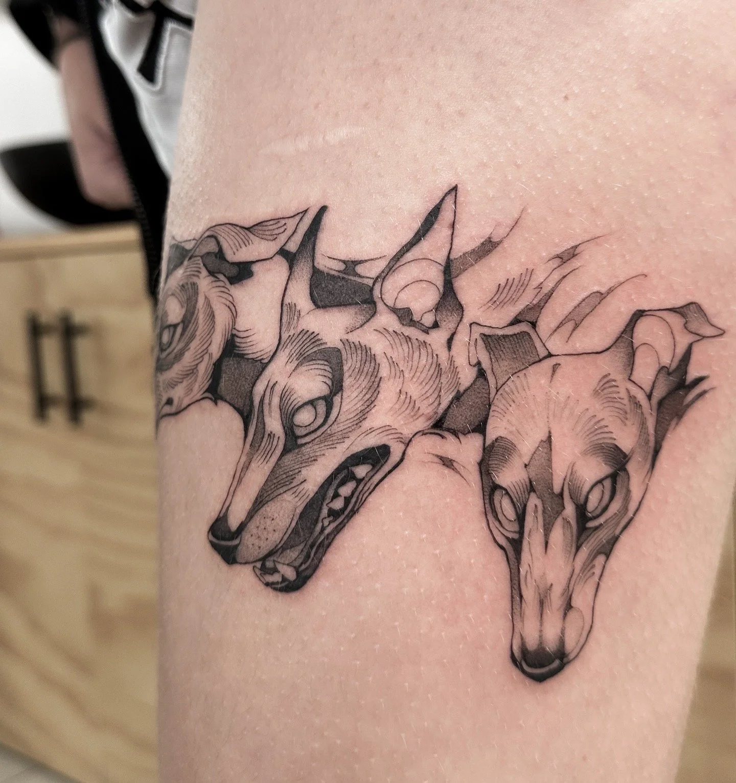 Close-up of a tattoo featuring a realistic wolf's head on someone's arm, with black and gray shading and line work.