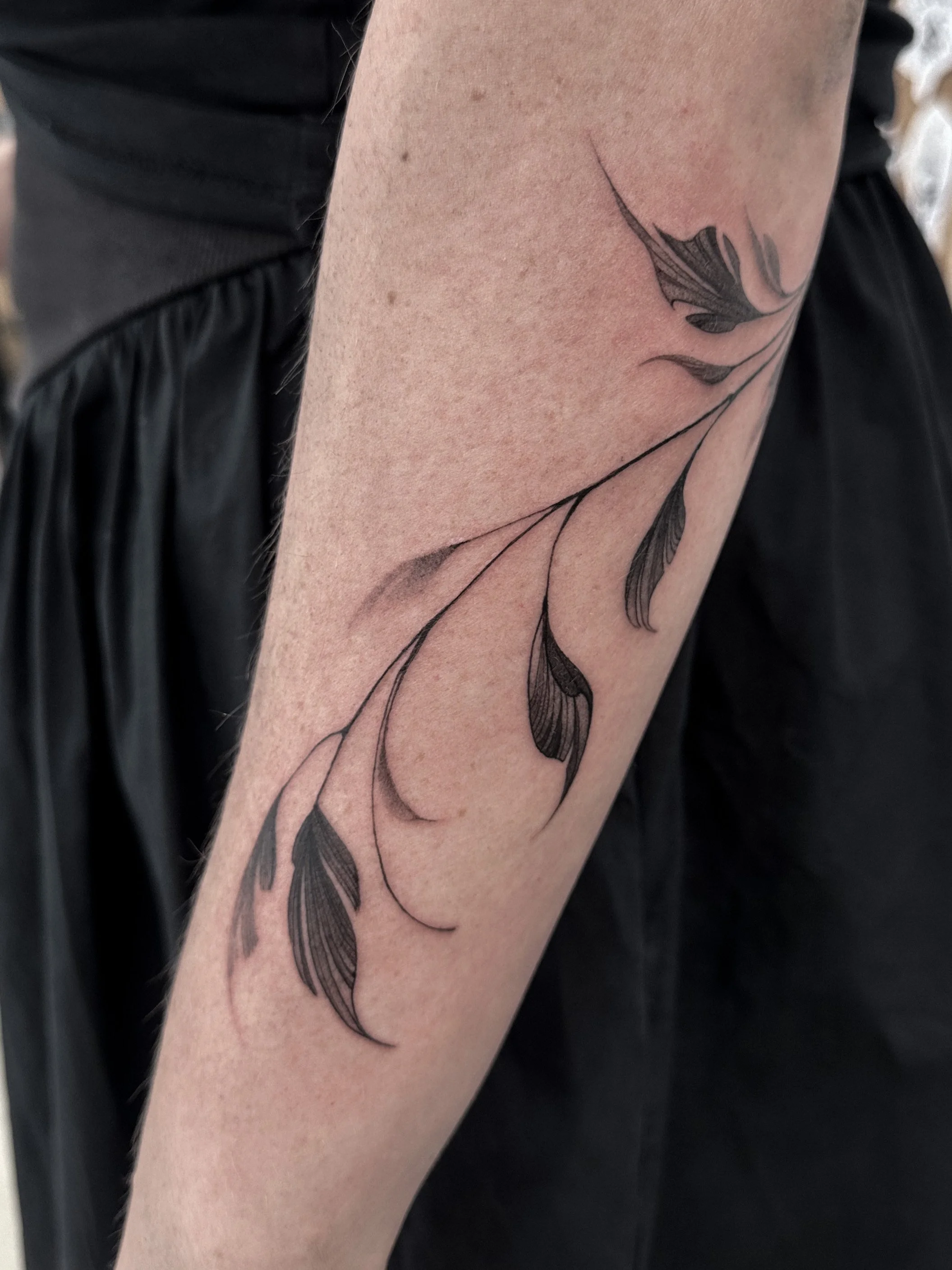 Close-up of a person's arm with a delicate black ink tattoo of leaves and stems.