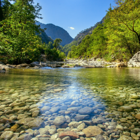 No Answers on Antibiotic Risk to Rivers