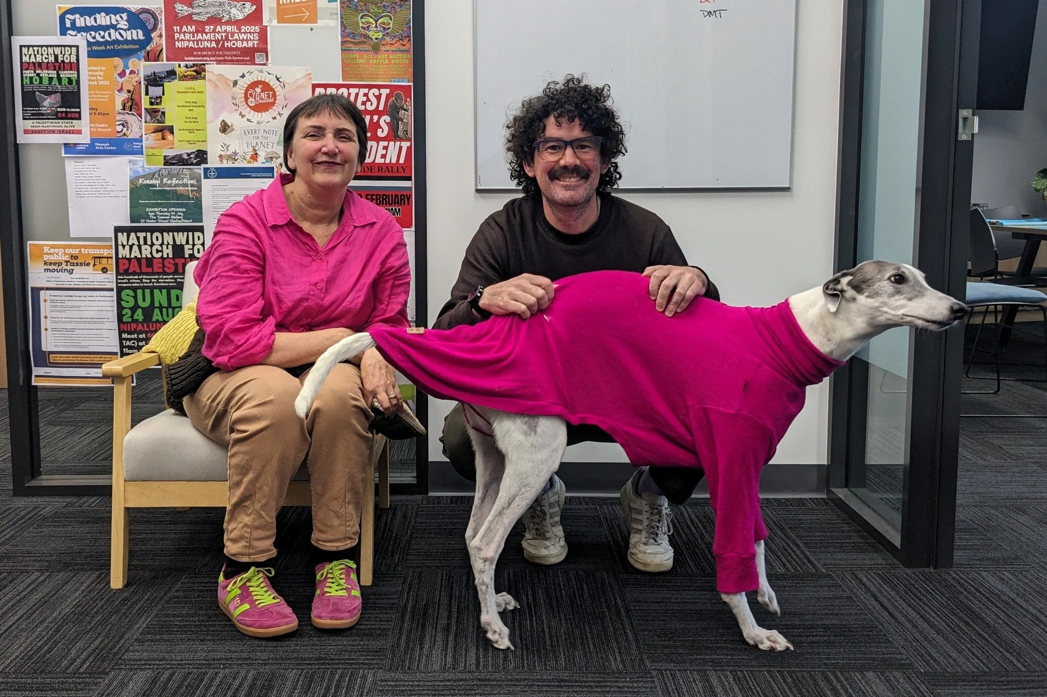 Accidental colour coordination from me and Chickpea (our office greyhound) today! Best of luck to my colleagues in the upper house this week - let's vote to end greyhound racing in Tasmania 🩷🩷