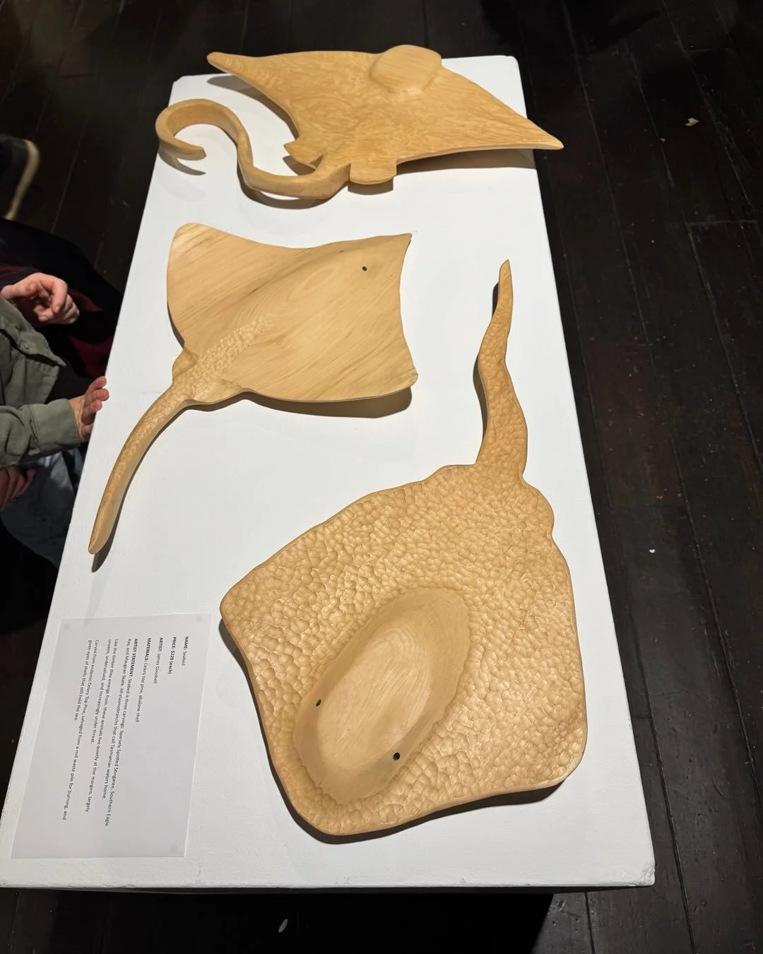 Creating something meaningful from something discarded, then breathing new life into it is what #artfromtrash is all about. Every year I marvel-this year is no exception. Get yourself along to the Long Gallery in #salamanca and marvel at what clever 