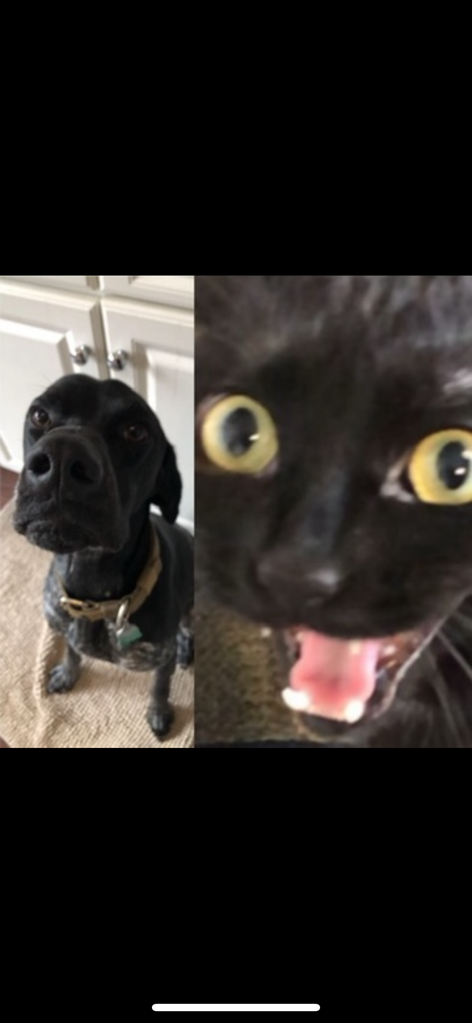 These dudes are just weird