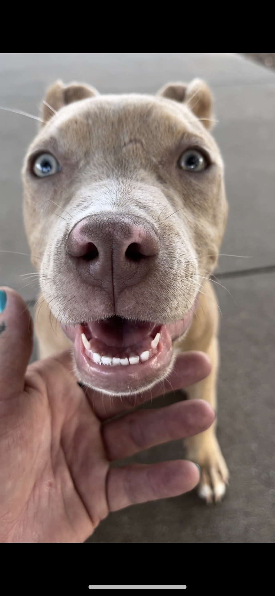 Her super power is luck