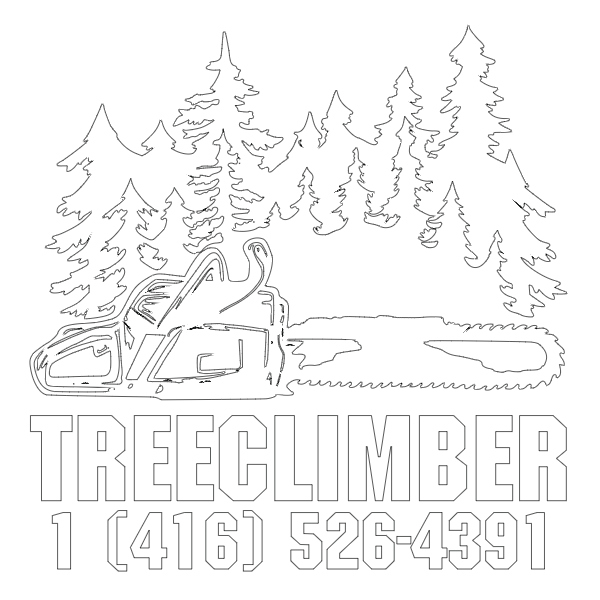 Tree Climbers - Video