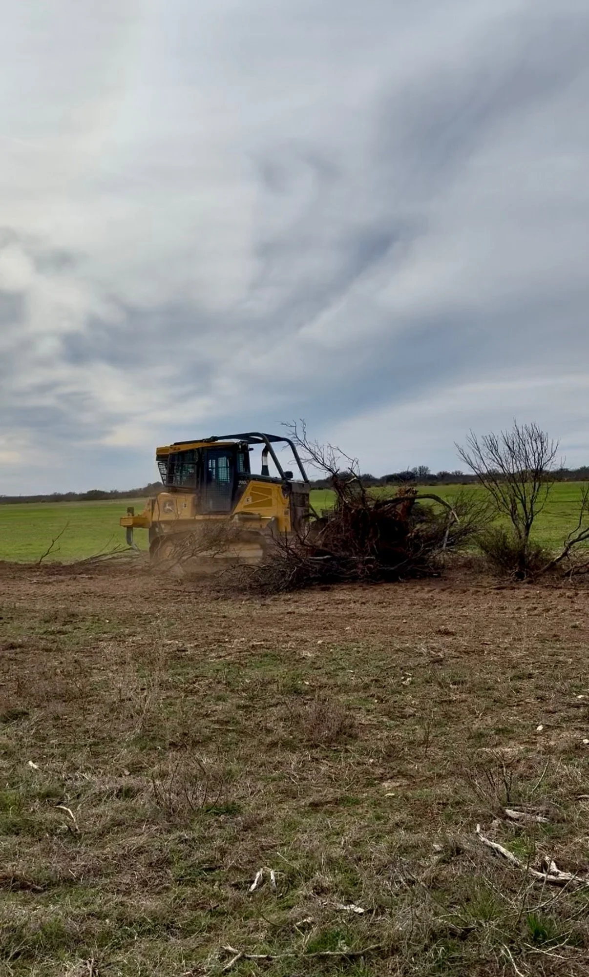 A yellow skid-steer loader moving large tree roots on a grassy field with cloudy sky overhead.