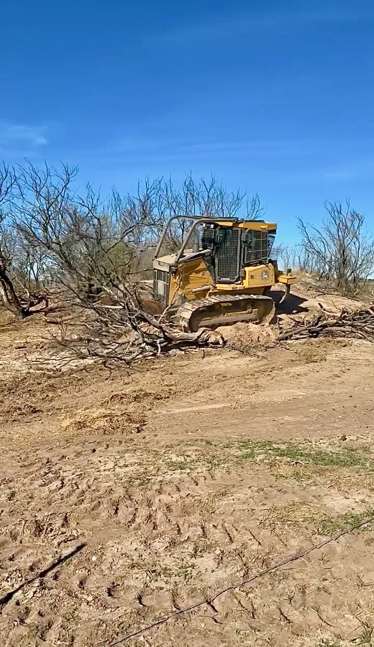 A yellow bulldozer clearing dry, barren land with sparse trees under a clear blue sky.