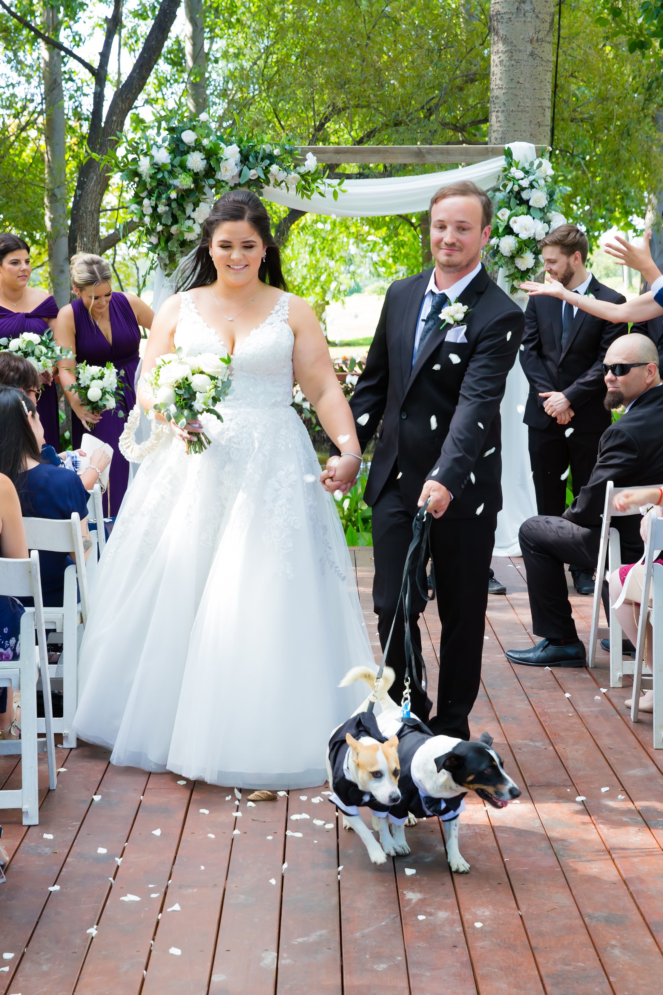 Bride and groom walking hand in hand to their wedding ceremony outdoors, with dogs dressed in tuxedos leading the way, surrounded by wedding guests and floral decorations.