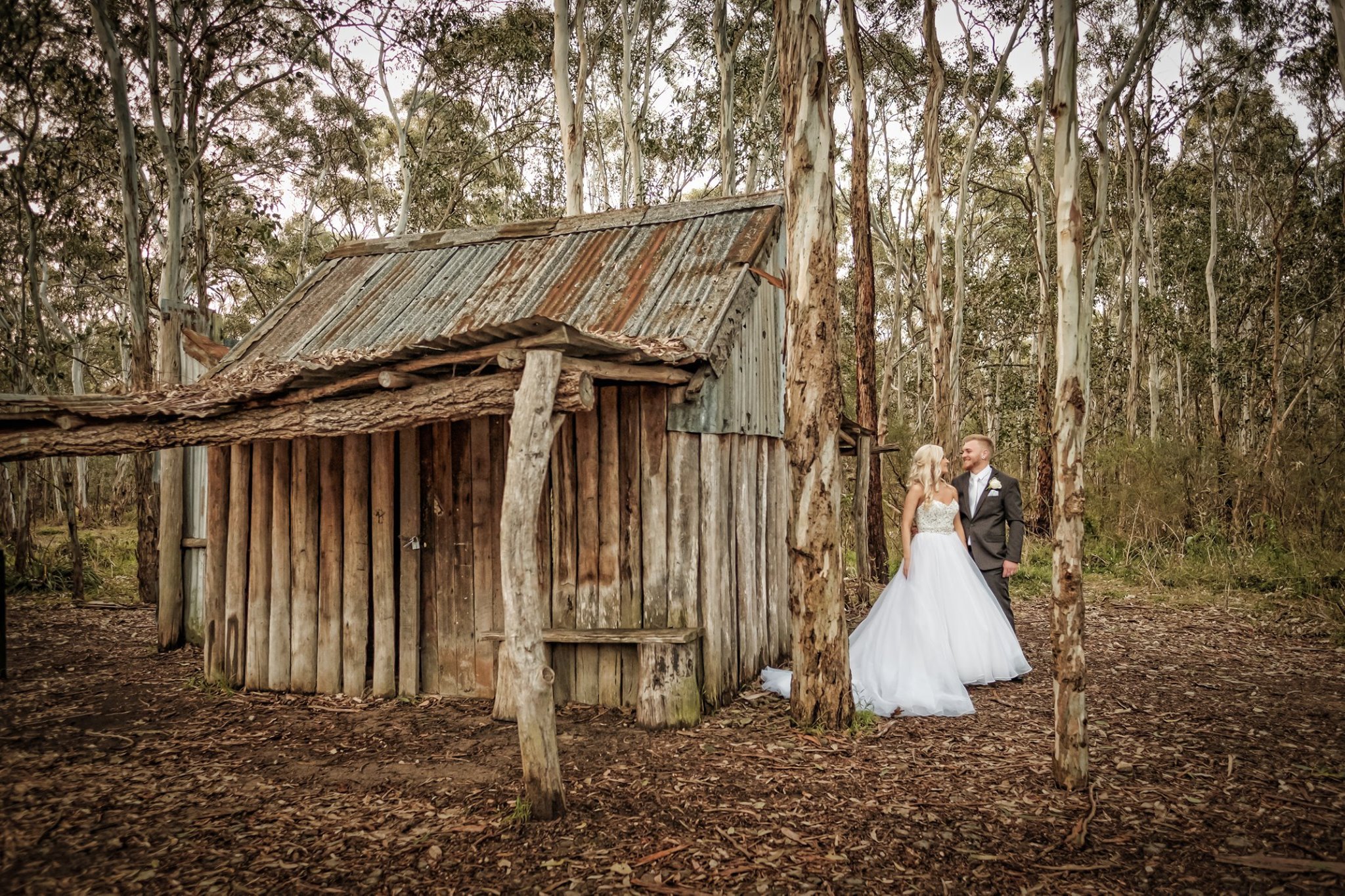 A bride and groom in wedding attire standing in a forest near a rustic wooden shed.