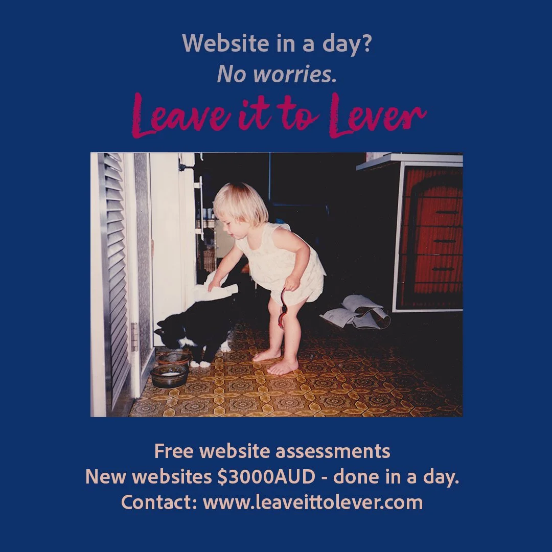 Website in a day service