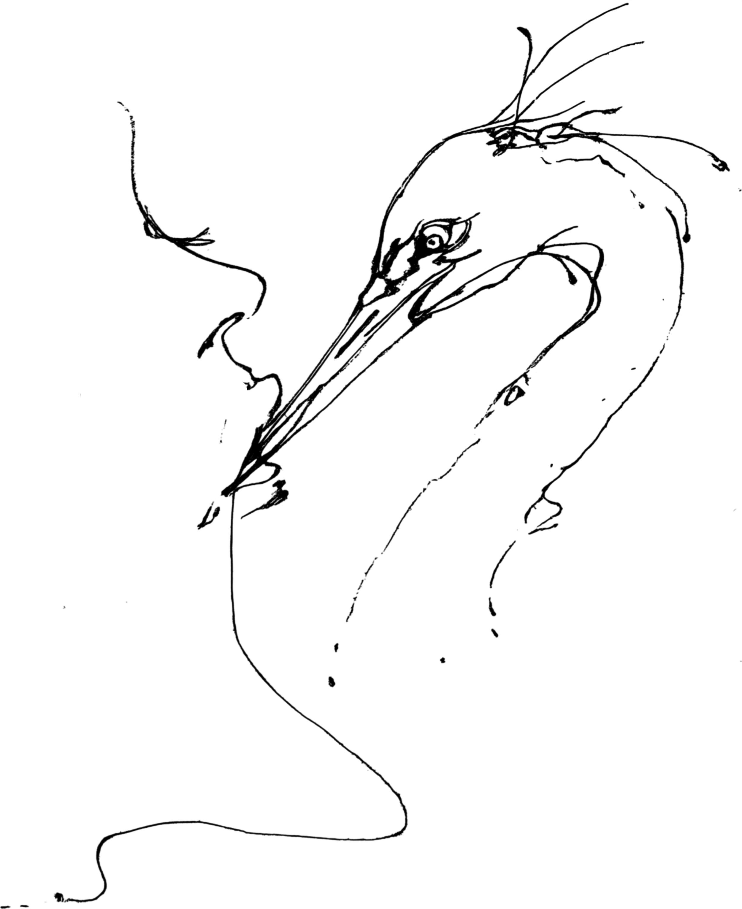 Outline drawing of a heron standing with water and lily pads.