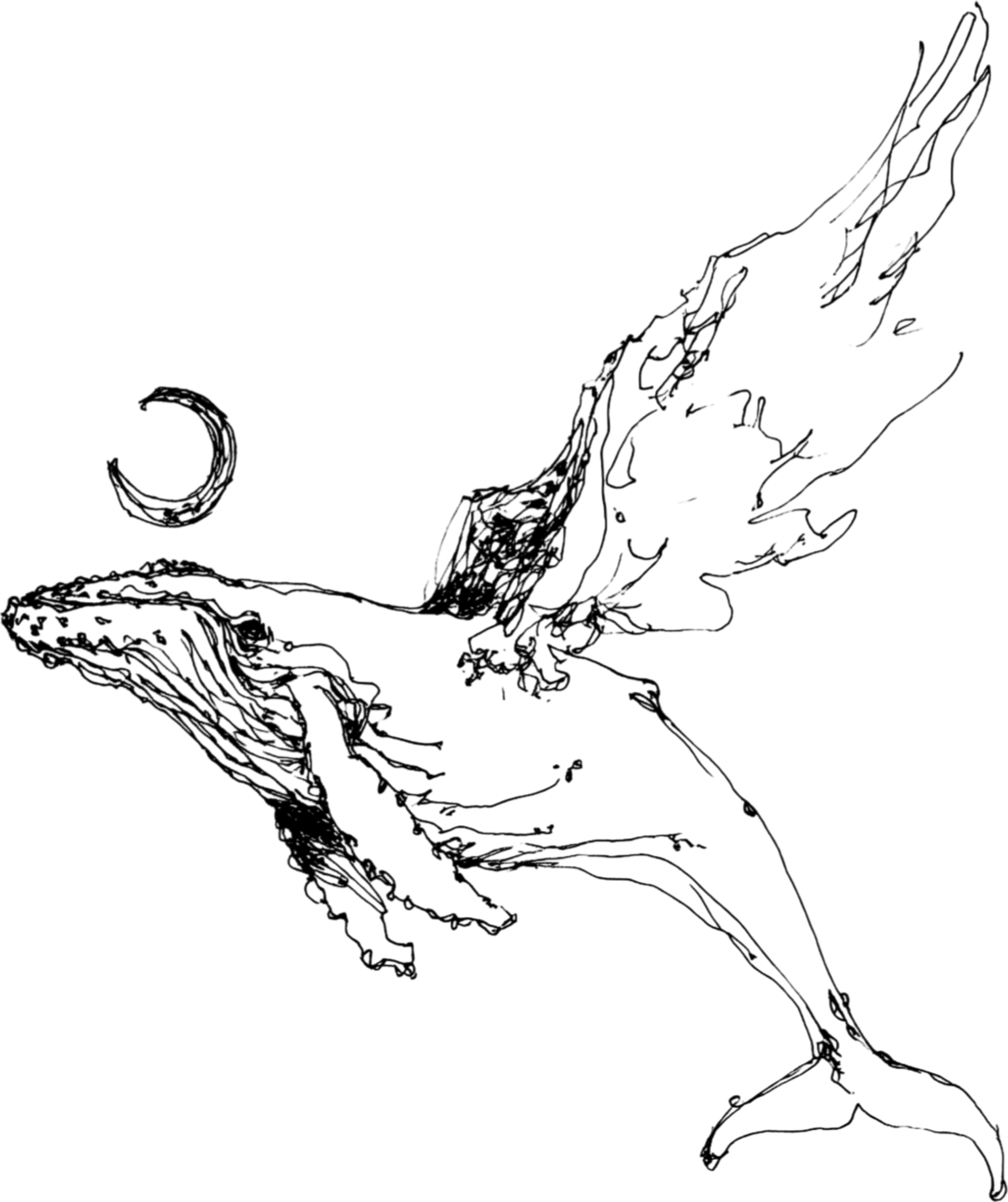 Black and white sketch of a whale jumping out of the water with the moon in the background.