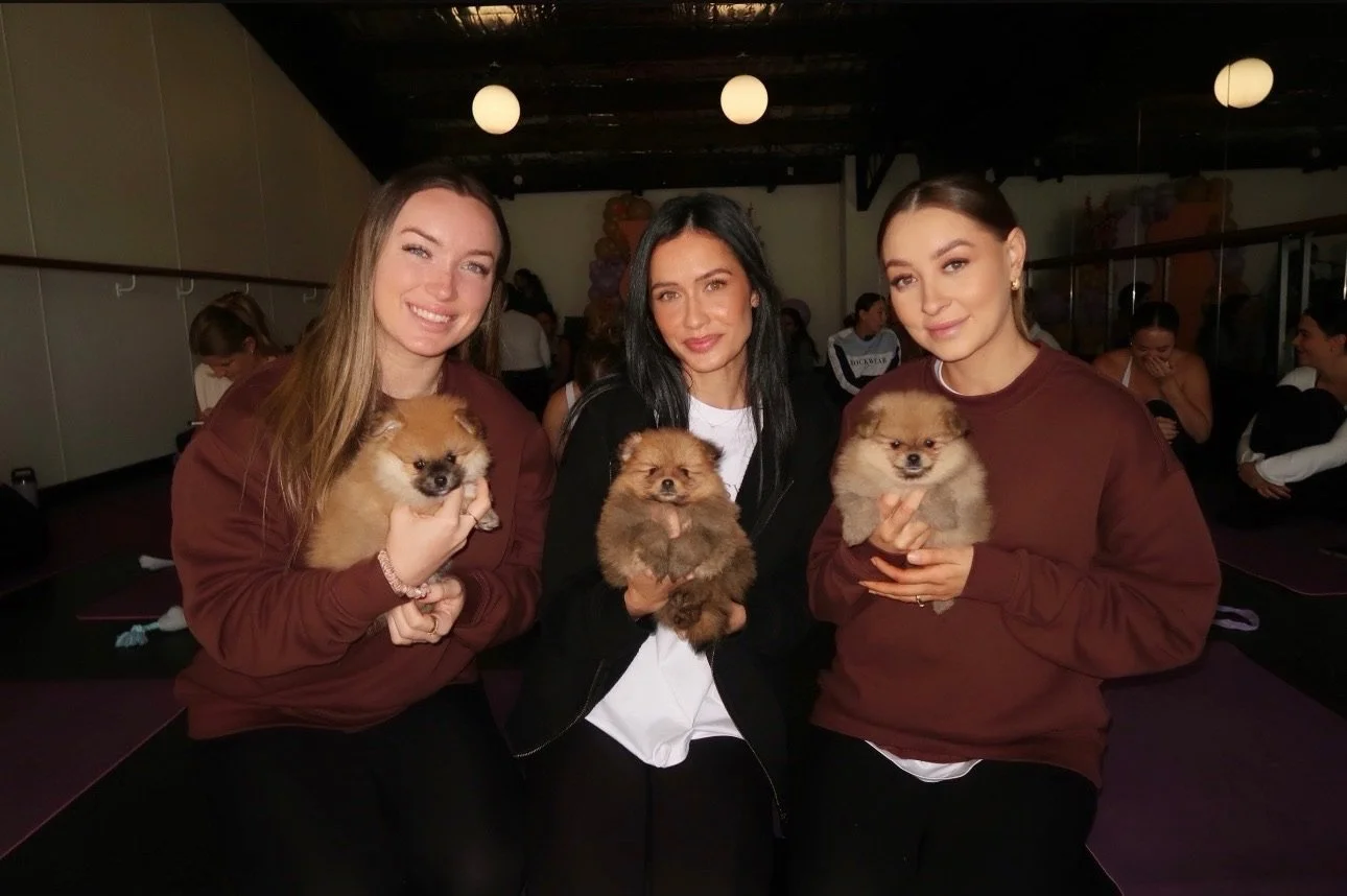 Three women sitting together indoors, each holding a small Pomeranian dog. The women are smiling, and there are other people in the background.