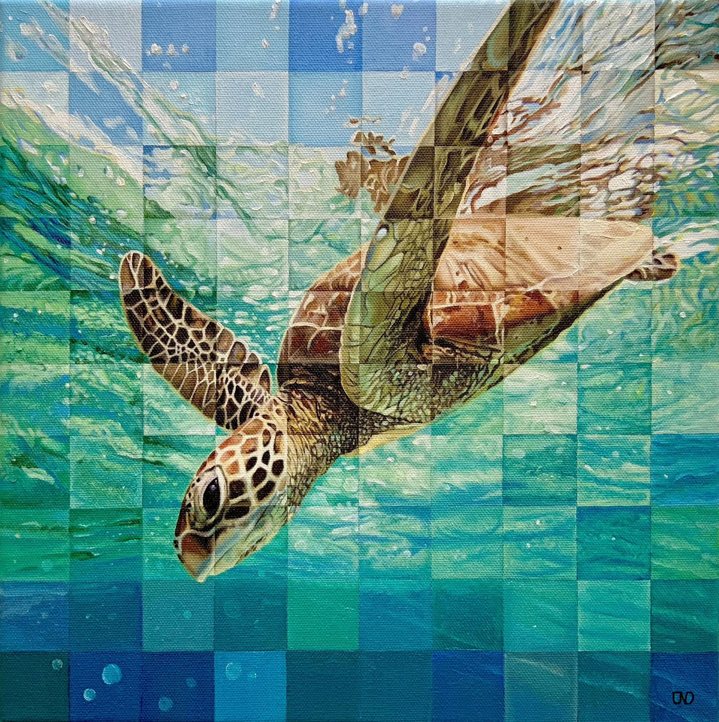 Turtle Painting Hamilton Island