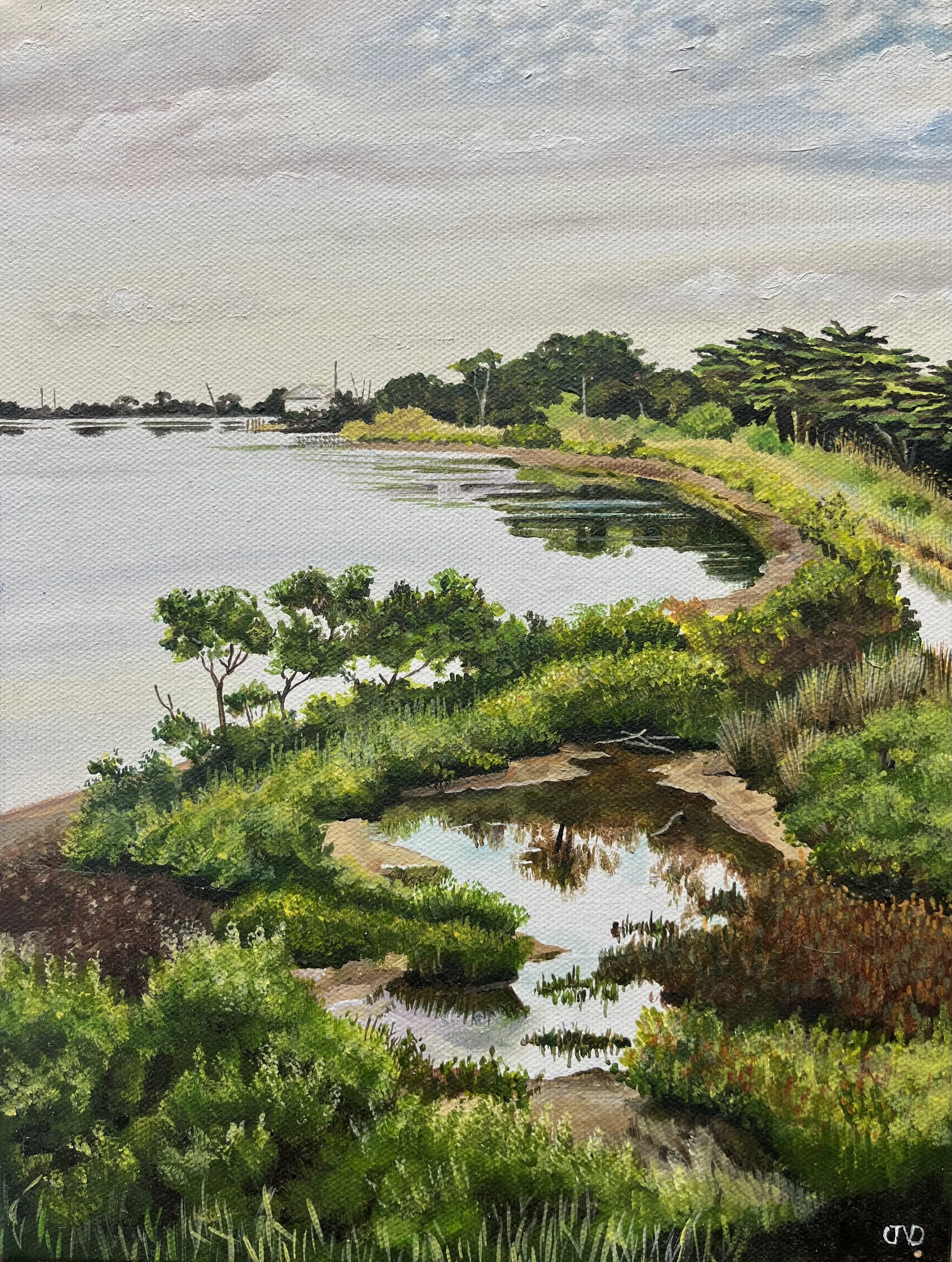 Queenscliff Swan Bay Painting