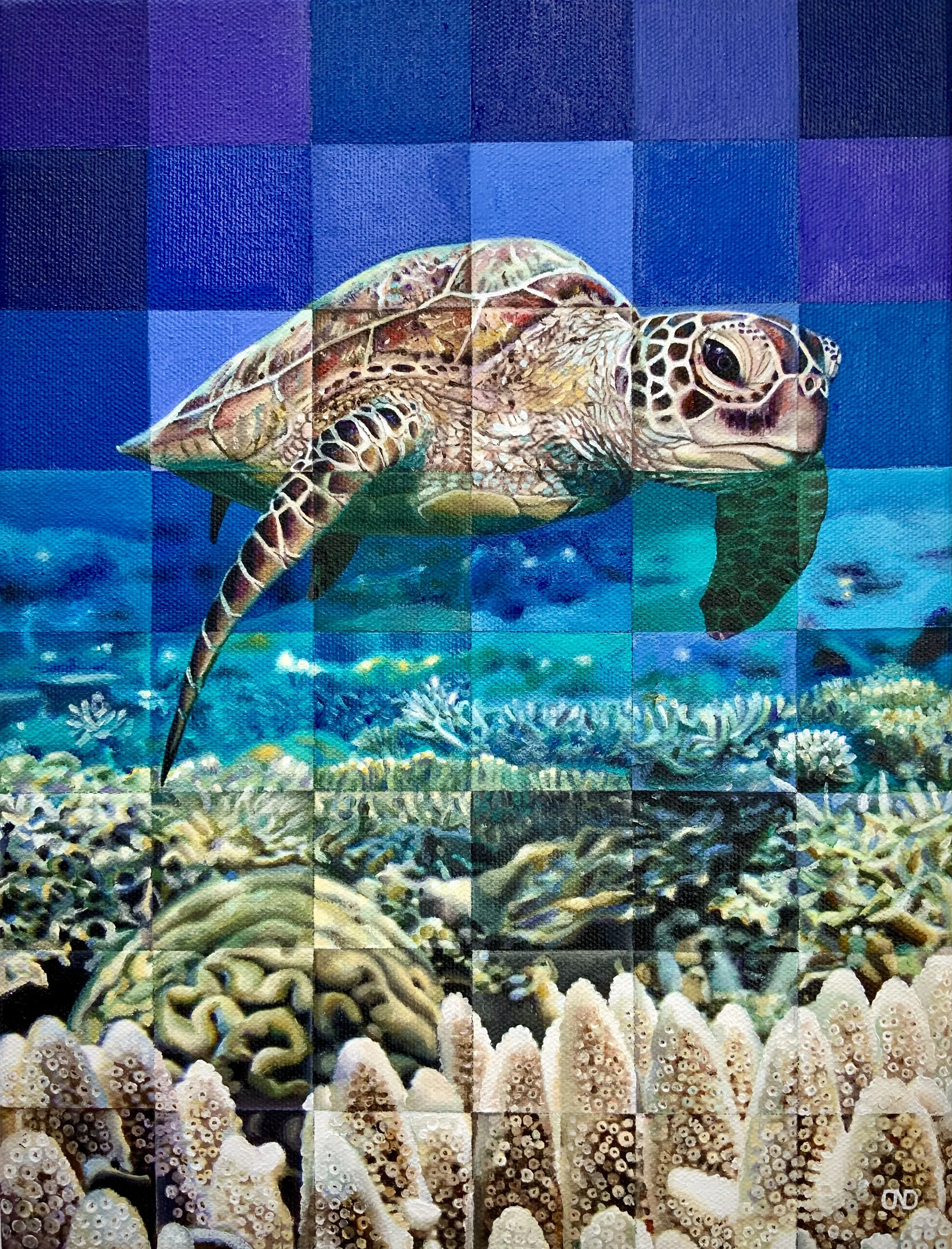 Turtle Painting Hamilton Island