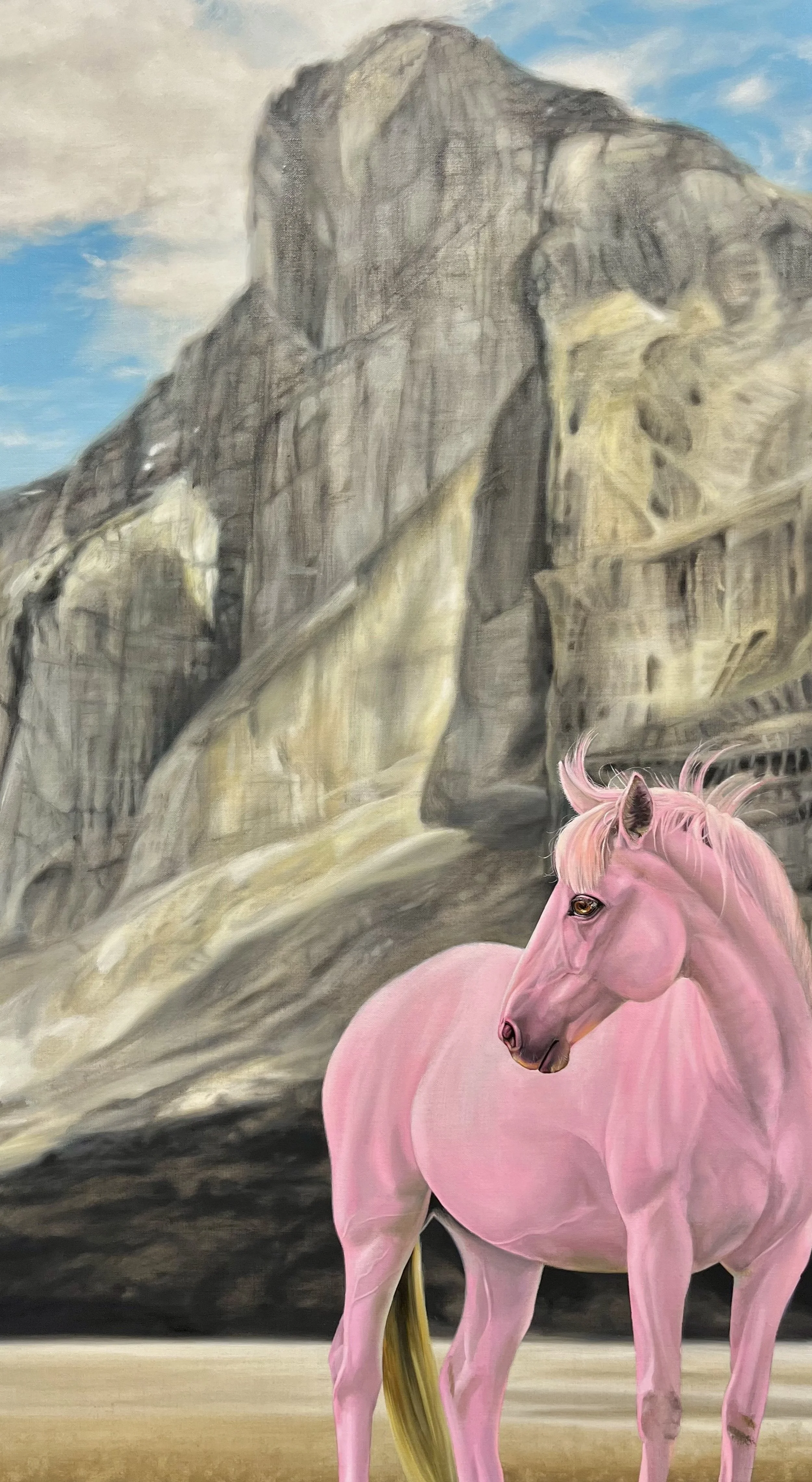 Pink horse painting