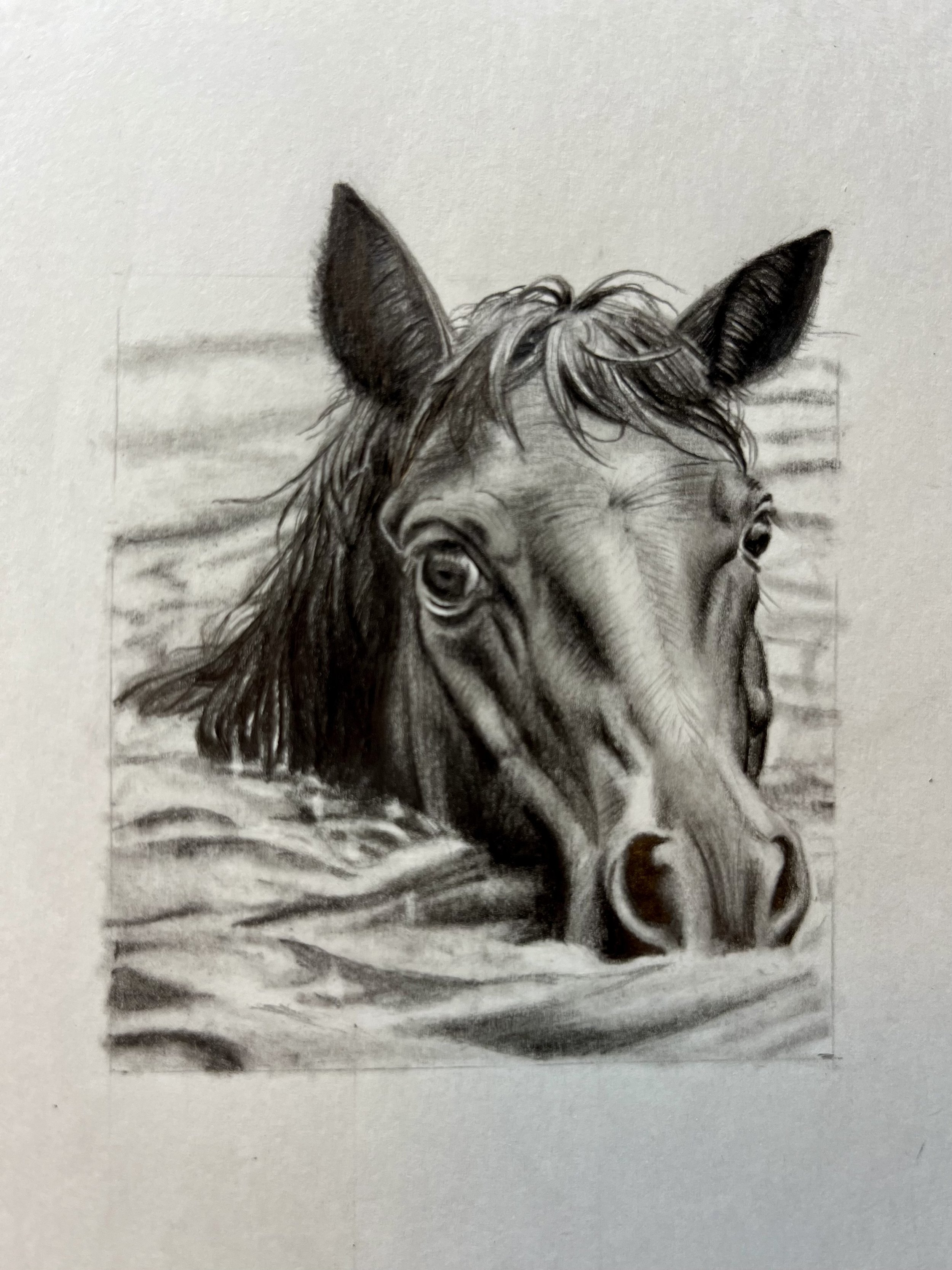 Graphite Horse Drawing